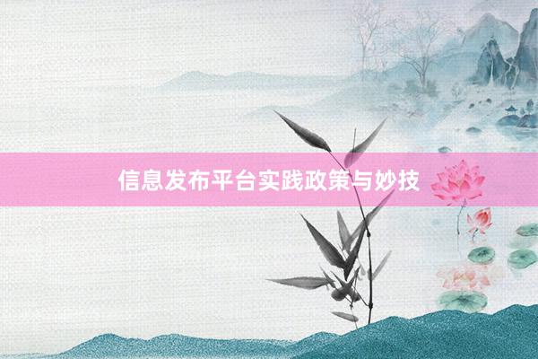 信息发布平台实践政策与妙技