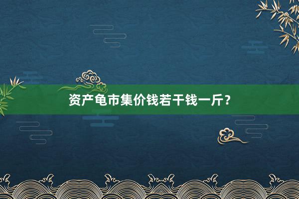 资产龟市集价钱若干钱一斤？